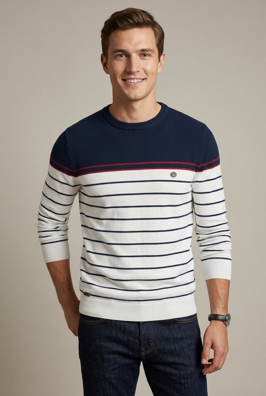 Men's Striped Crew Neck Sweater - Harren Cole